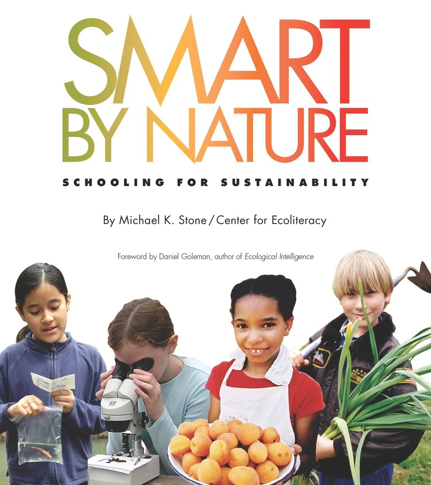 Smart by Nature: Schooling for Sustainability (Contemporary Issues (Watershed Media)),Used