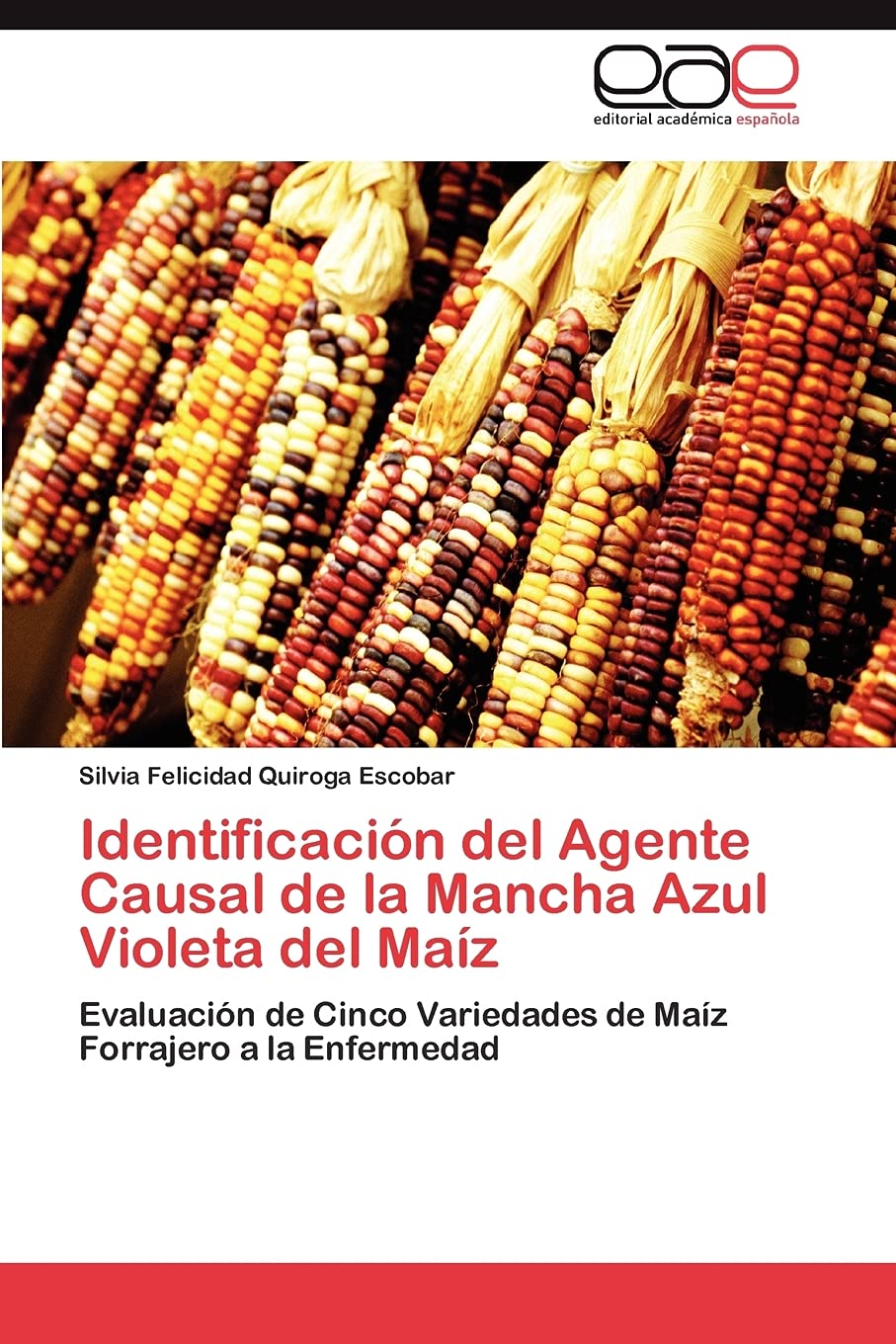 Identificacin del Agente Causal de la Mancha Azul Violeta del Maz: Evaluacin de Cinco Variedades de Maz Forrajero a la E,Used