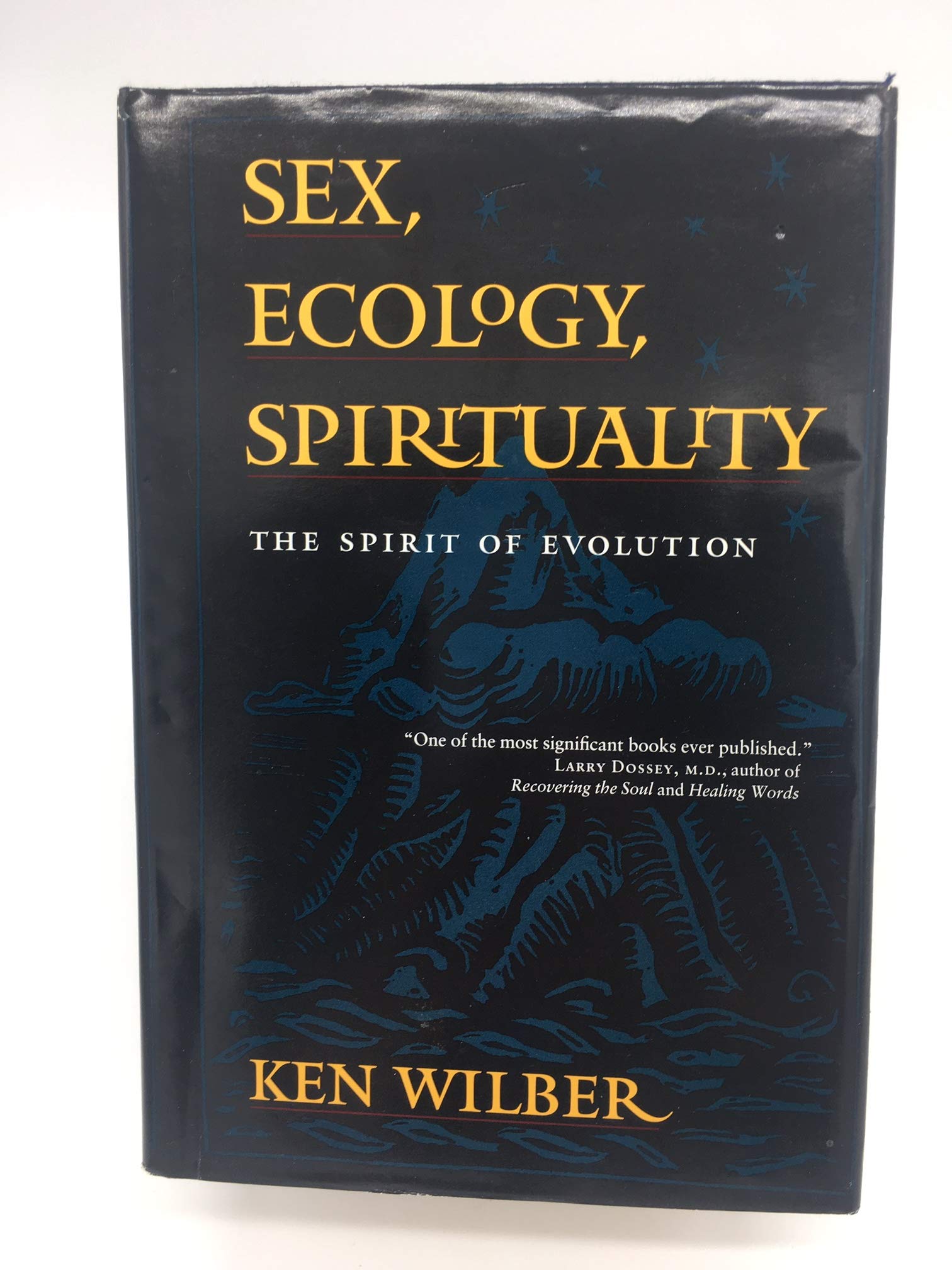 Sex, Ecology, Spirituality: The Spirit of Evolution,Used