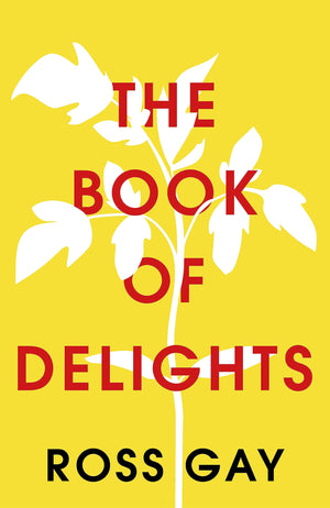 The Book Of Delights: The Lifeaffirming New York Times Bestseller-used
