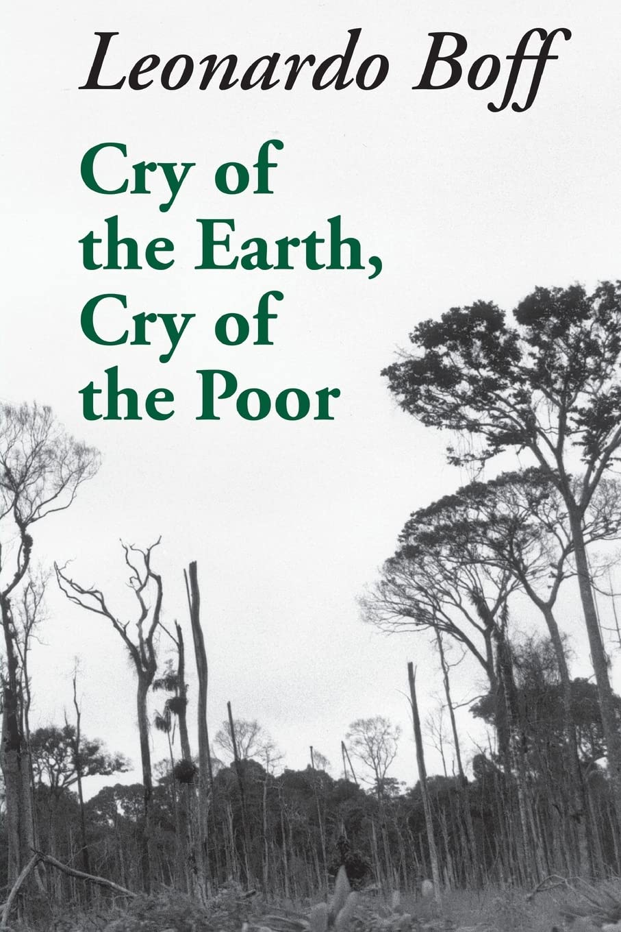 Cry of the Earth, Cry of the Poor (Ecology & Justice),Used