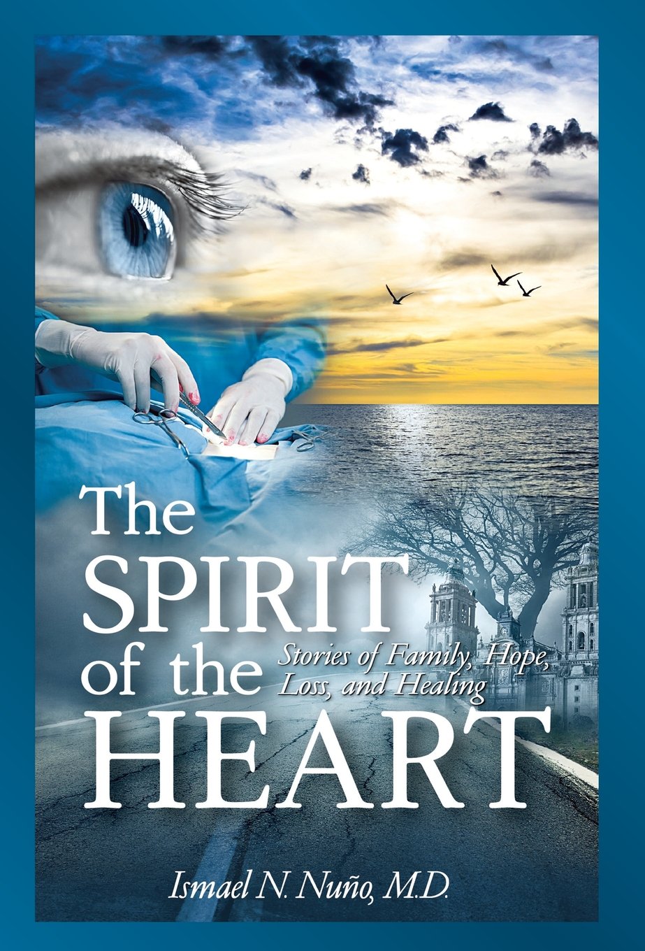 The Spirit Of The Heart: Stories Of Family, Hope, Loss, And Healing,Used