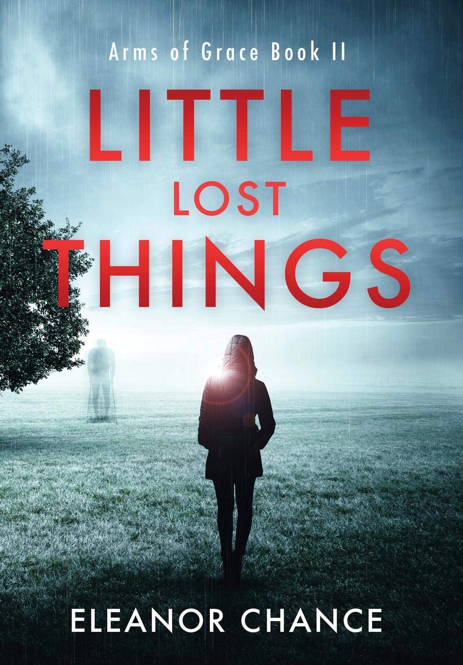 Little Lost Things: Arms of Grace Book II,Used