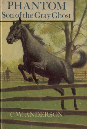 Phantom: Son of the Gray Ghost,Used