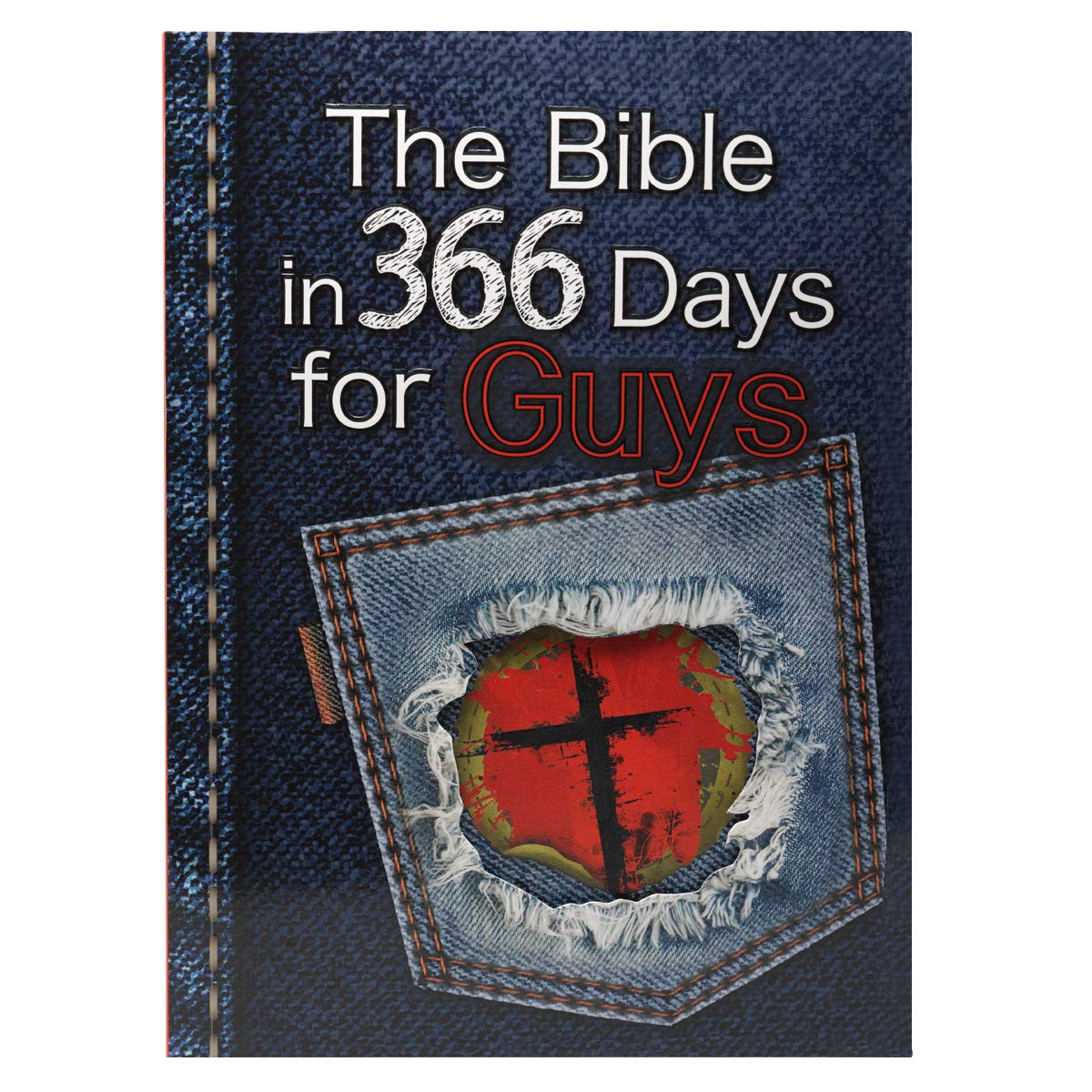 The Bible in 366 Days for Guys,Used