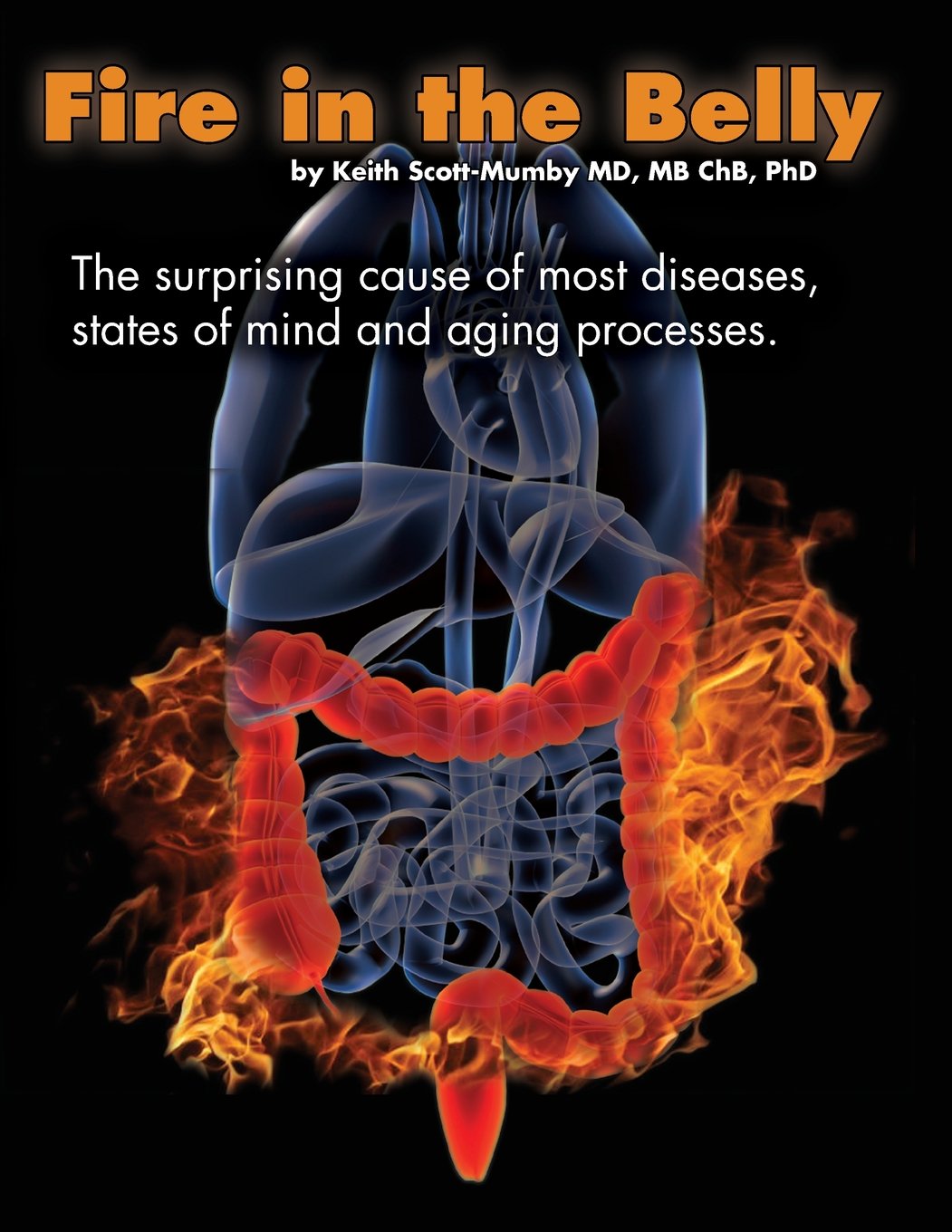 Fire In The Belly: The Surprising Cause of Most Diseases, States Of Mind and Aging Processes,New