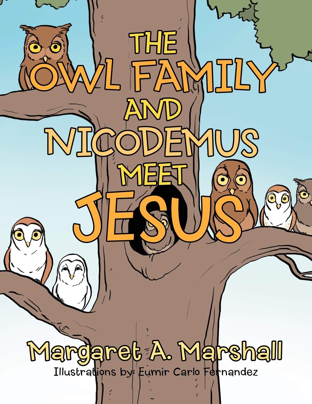 The Owl Family And Nicodemus Meet Jesus,Used