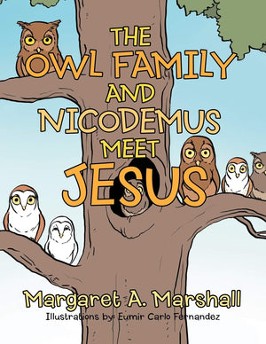 The Owl Family And Nicodemus Meet Jesus,Used