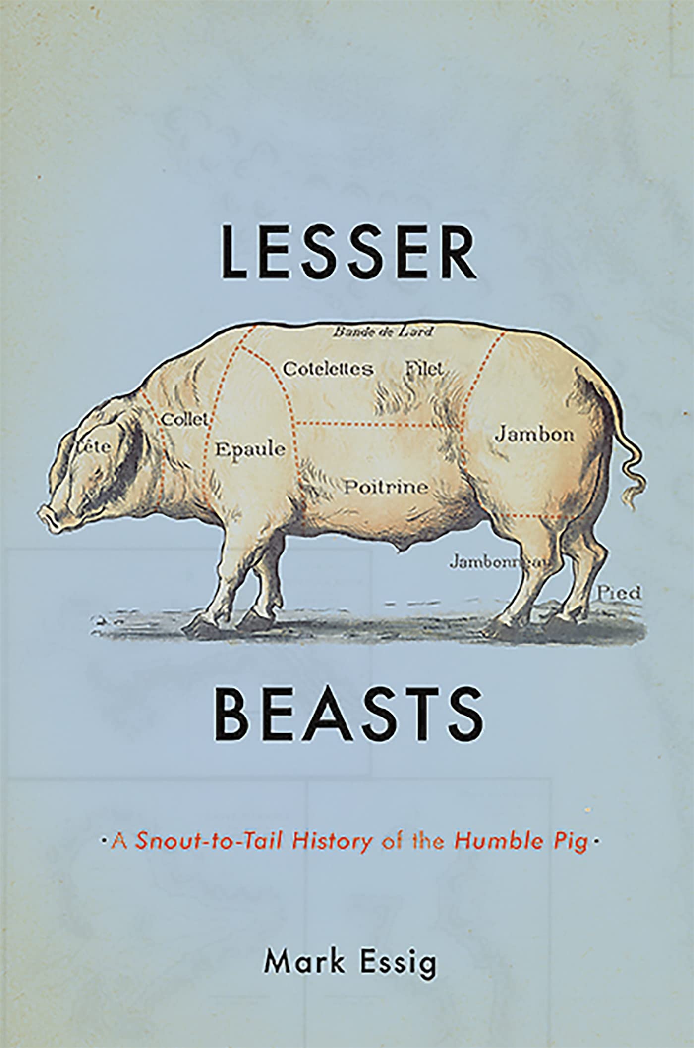 Lesser Beasts: A SnouttoTail History of the Humble Pig,Used