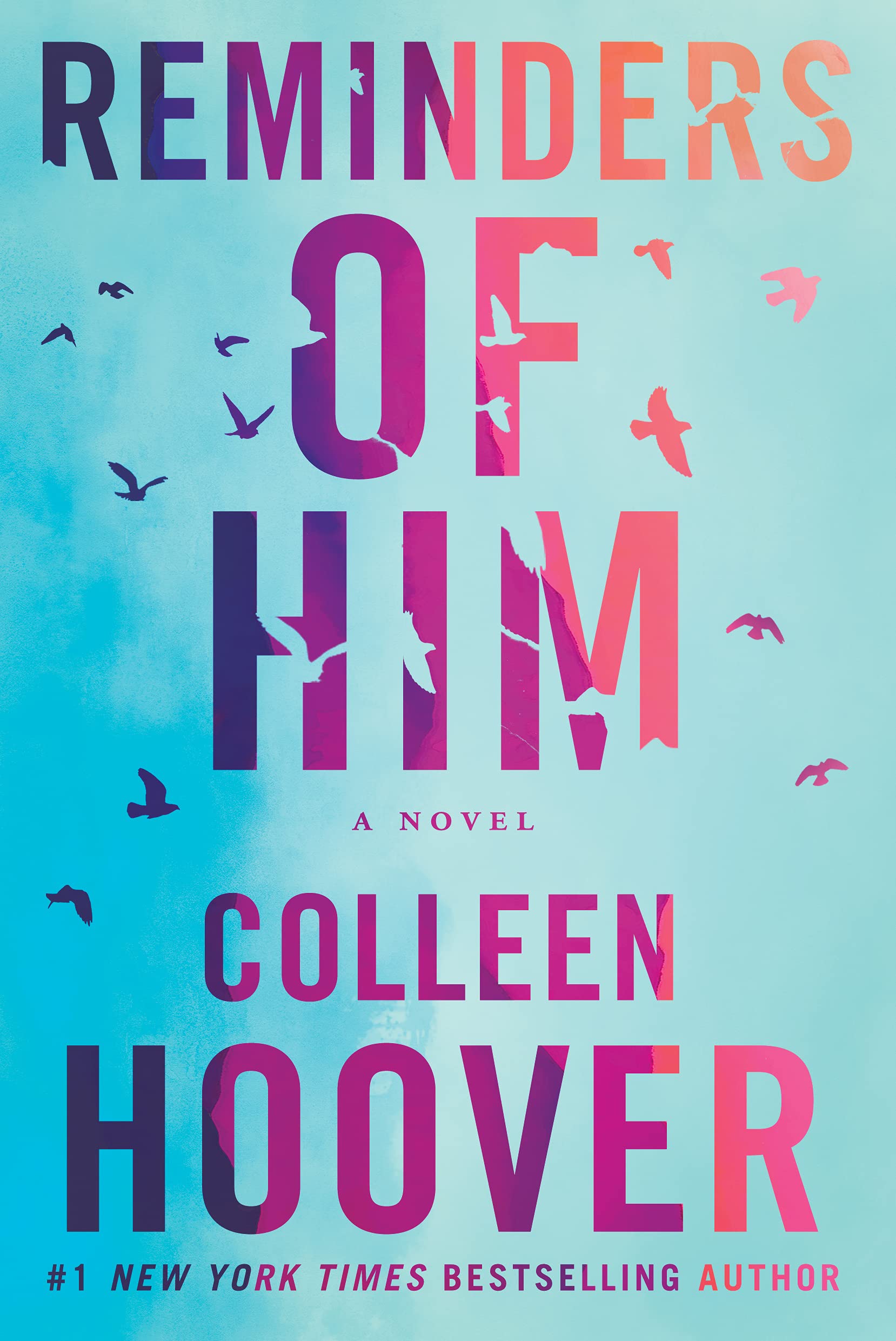 Reminders of Him: A Novel,New