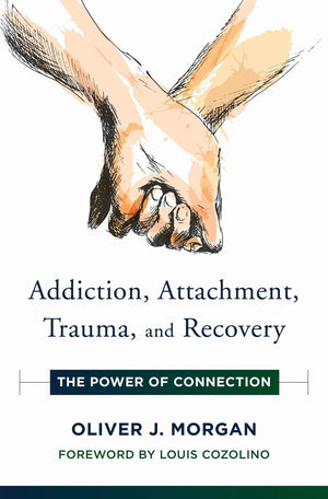 Addiction, Attachment, Trauma and Recovery: The Power of Connection (Norton Series on Interpersonal Neurobiology),Used