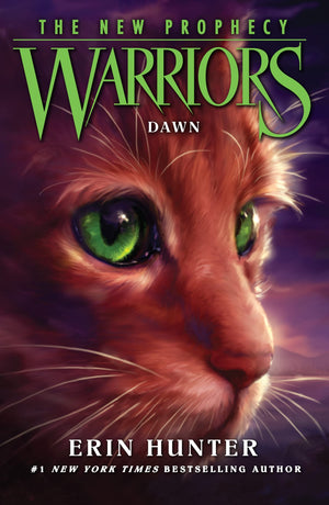 Dawn,Used