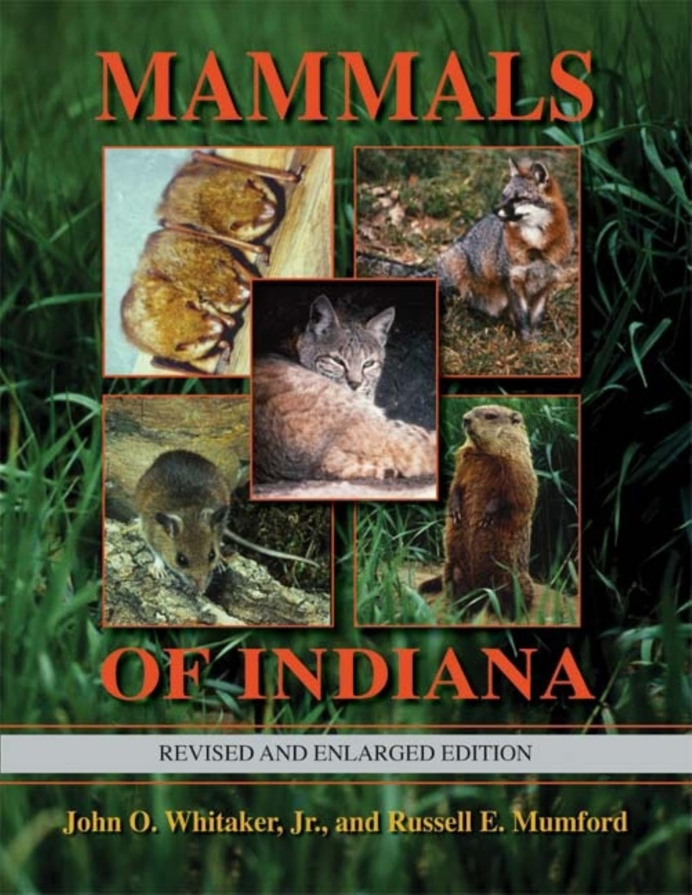 Mammals of Indiana, Revised and Enlarged Edition (Indiana Natural Science),Used
