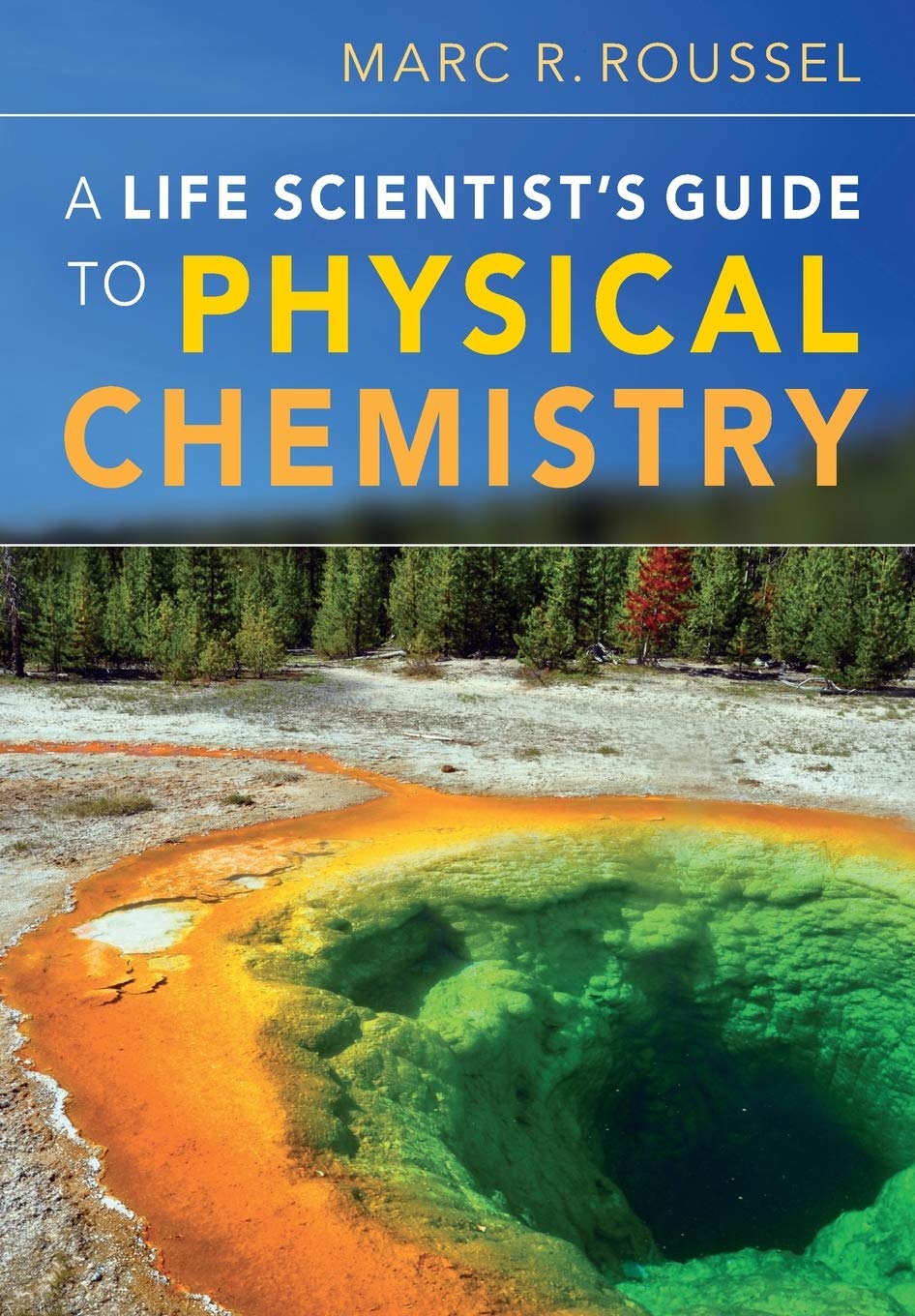 A Life Scientist's Guide to Physical Chemistry,Used