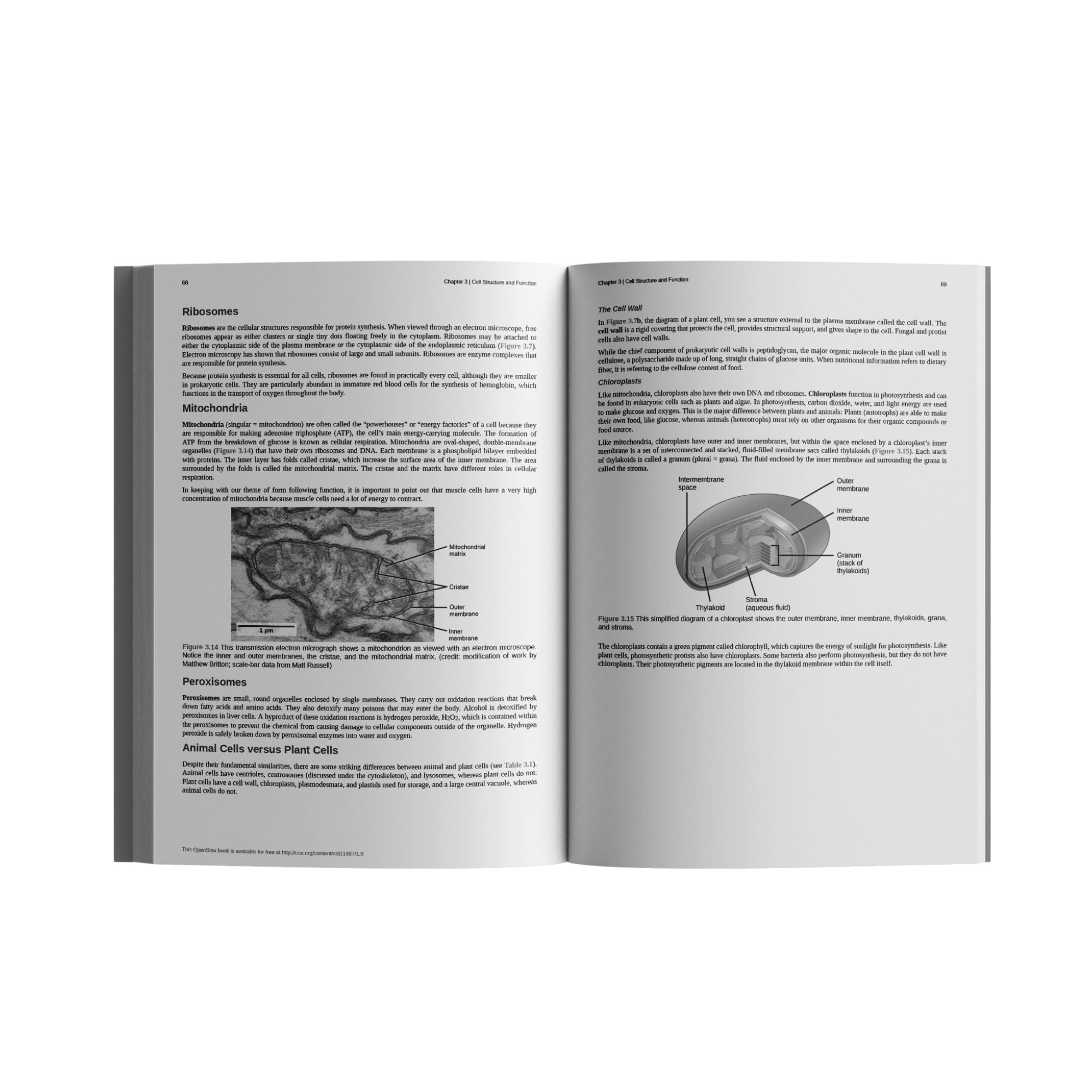 Concepts Of Biology: Official Openstax [Paperback, B&W]