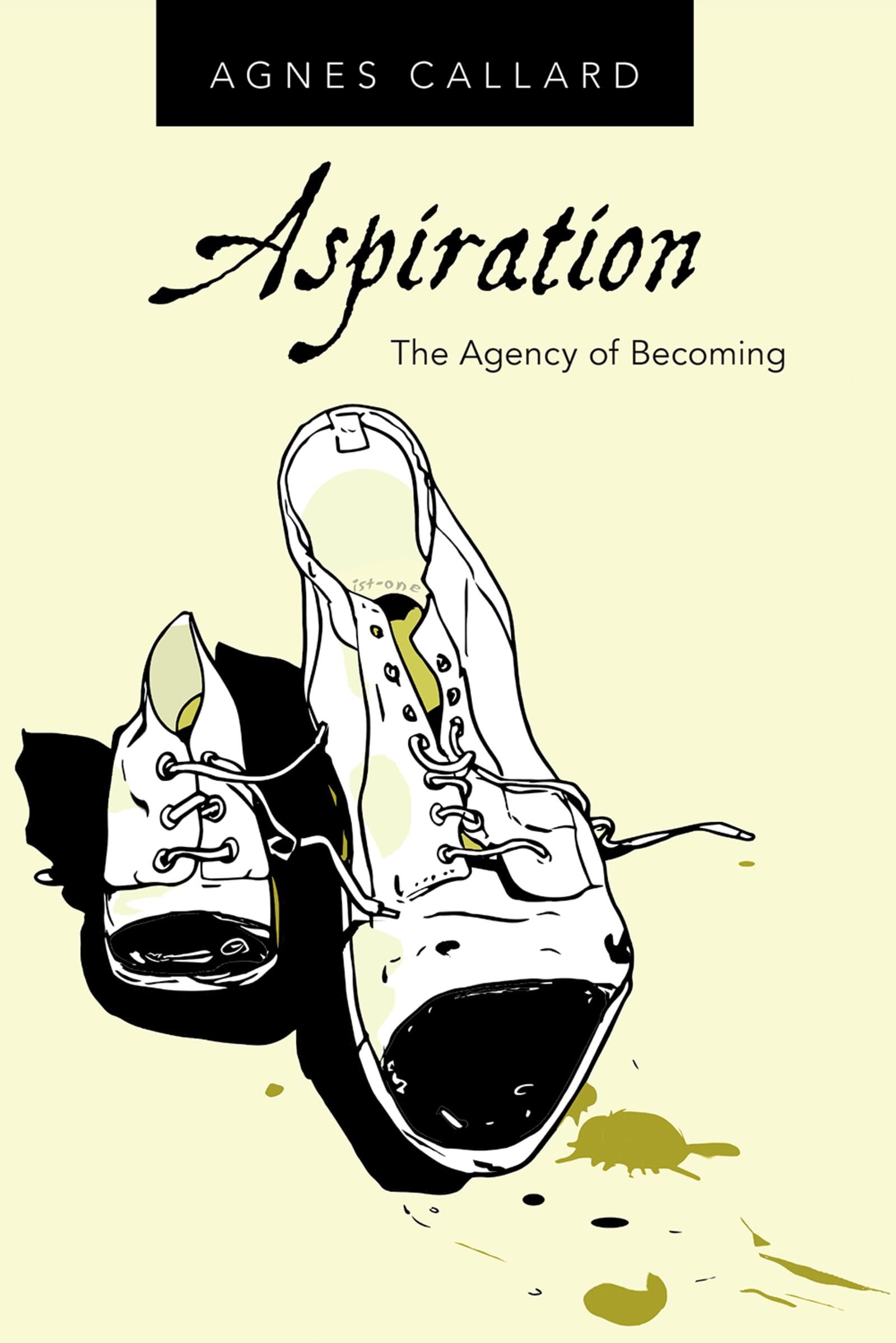 Aspiration: The Agency of Becoming,Used
