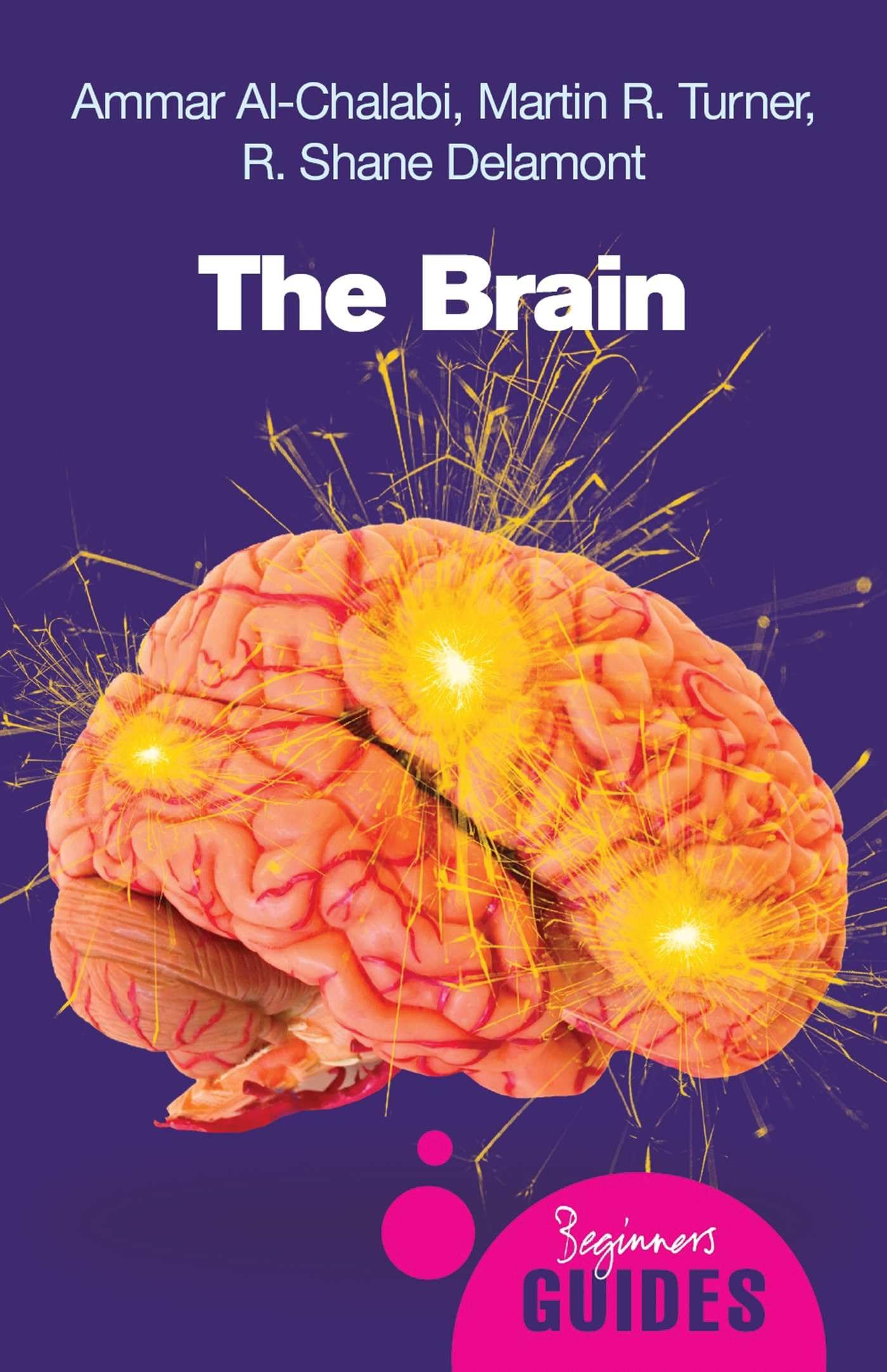 The Brain: A Beginner's Guide (Beginner's Guides),New
