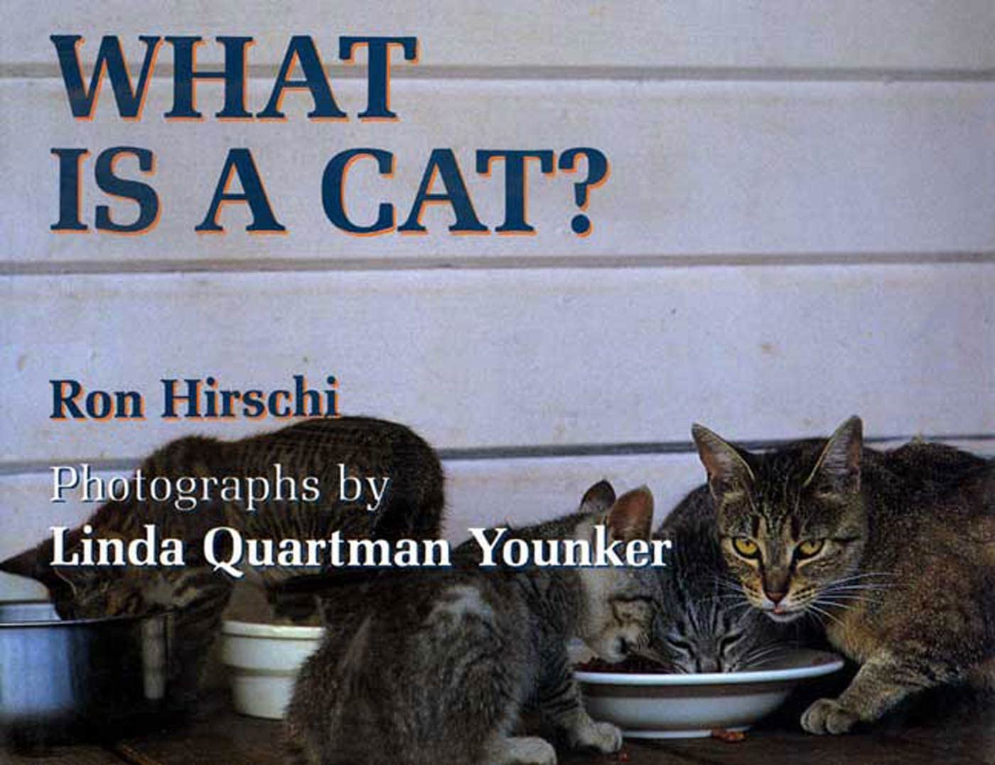 What Is a Cat?,Used