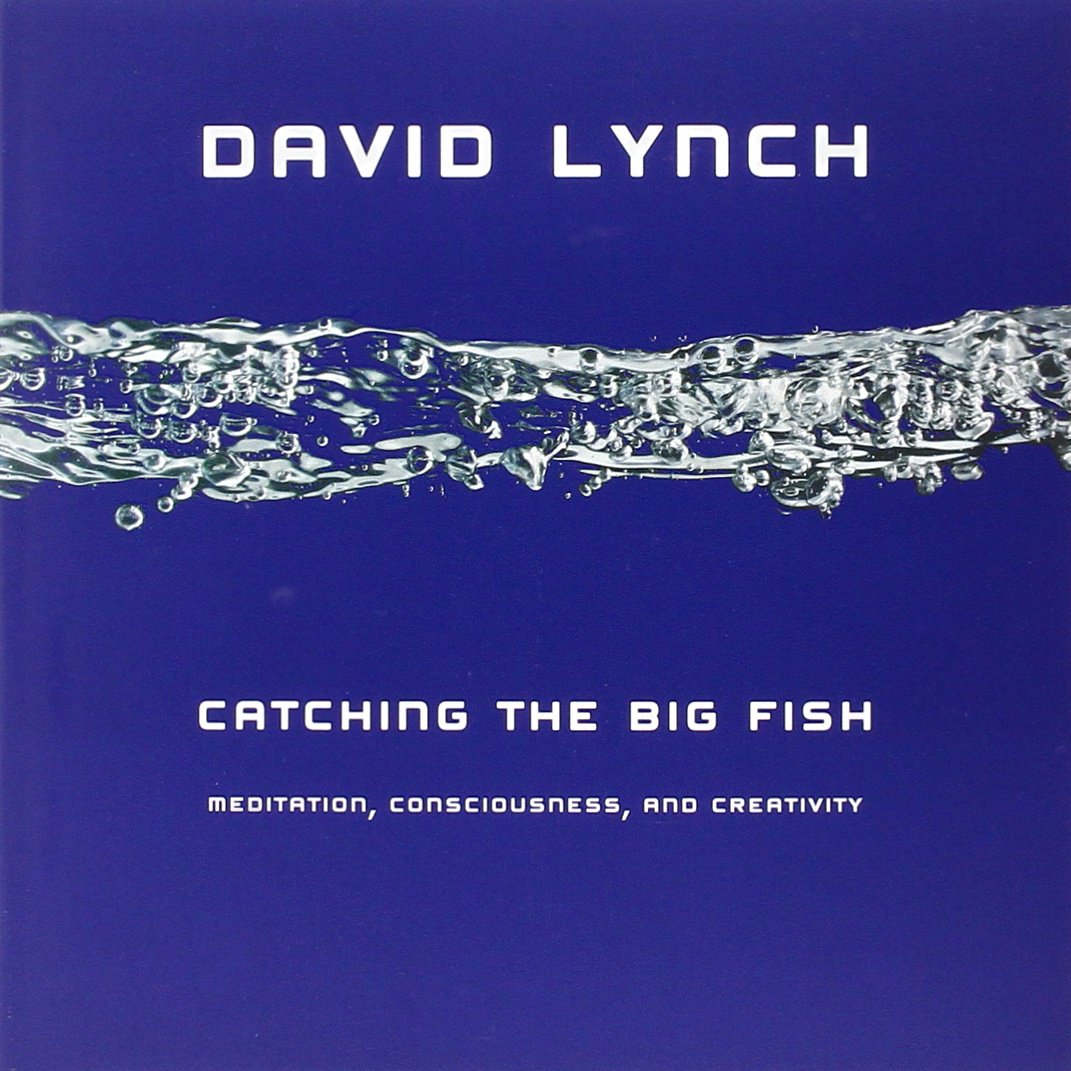 Catching the Big Fish: Meditation, Consciousness, and Creativity,Used