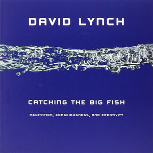 Catching the Big Fish: Meditation, Consciousness, and Creativity,Used