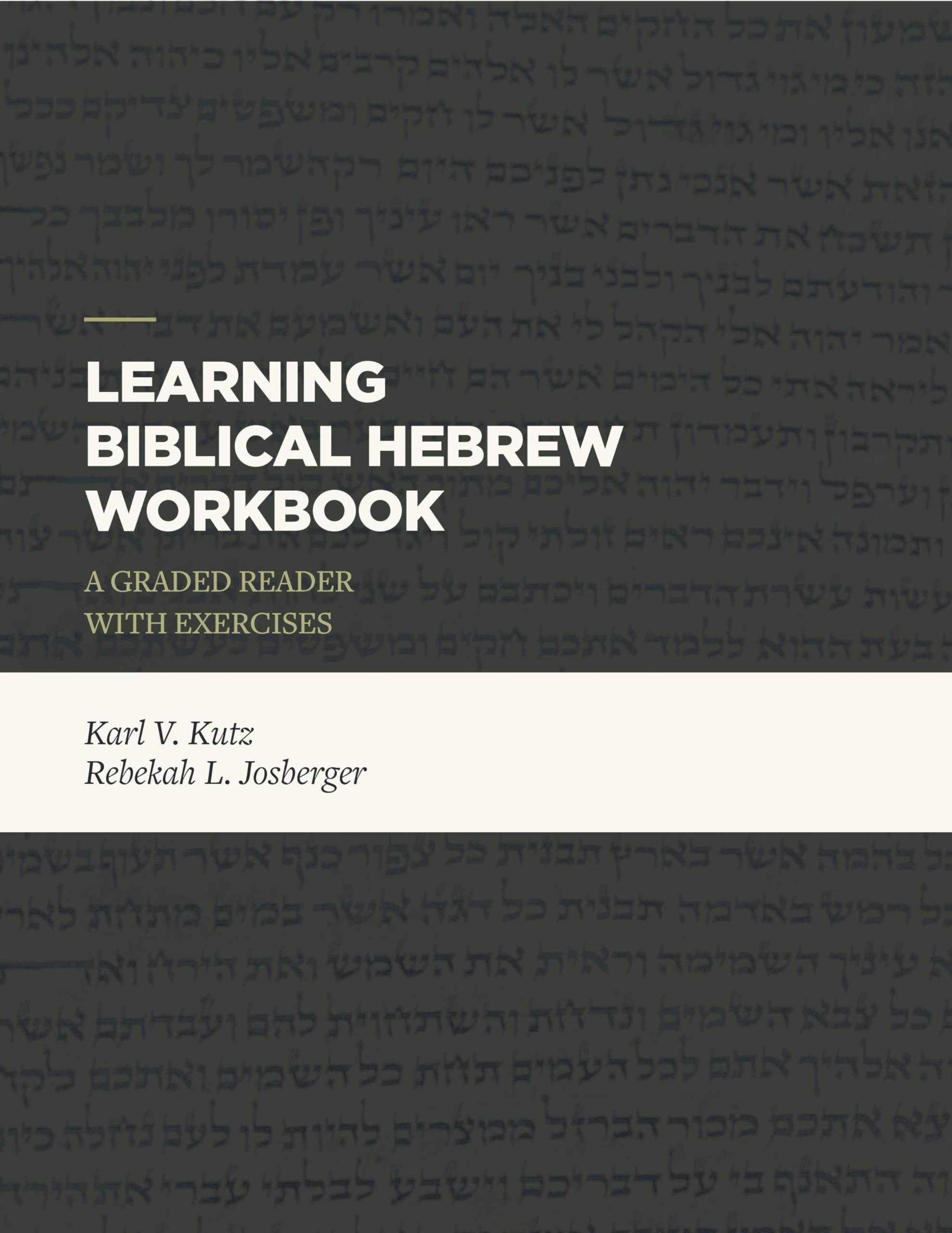 Learning Biblical Hebrew Workbook: A Graded Reader with Exercises,Used