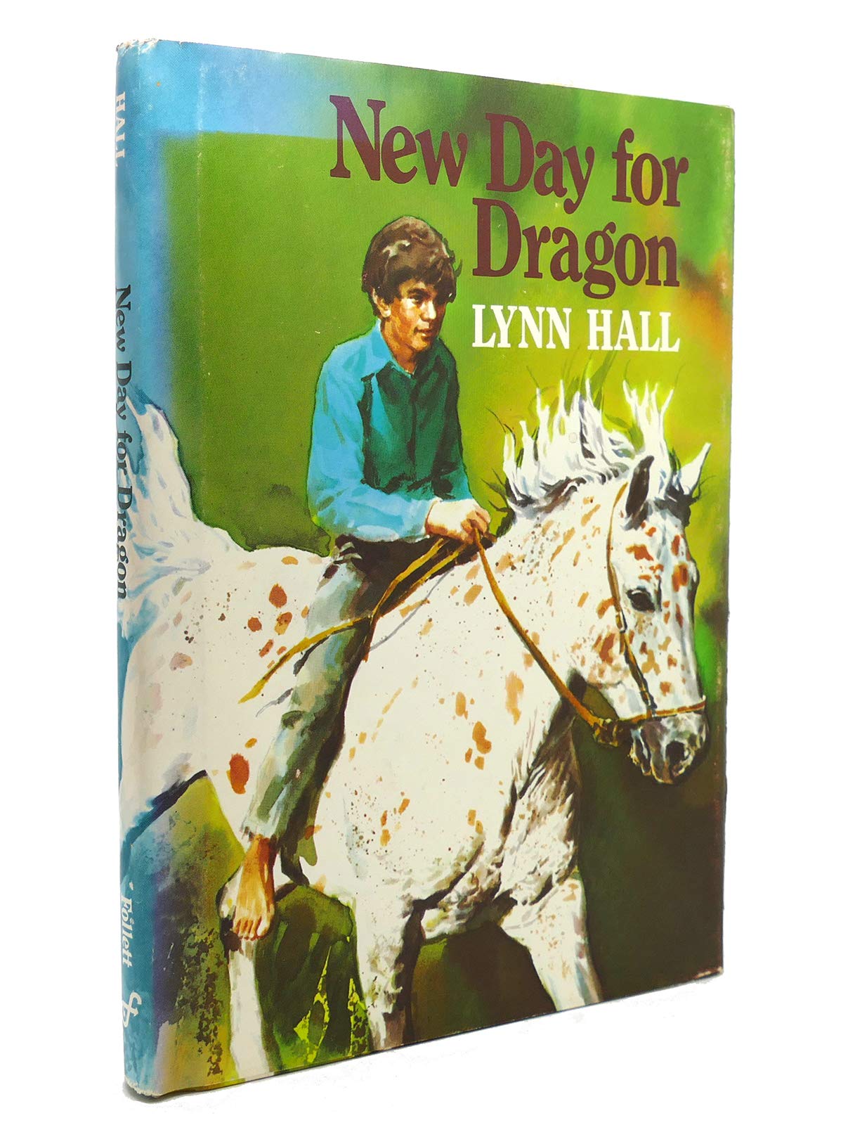 New Day For Dragon,Used