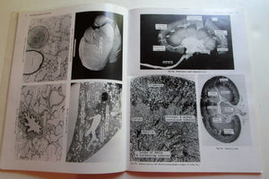 A Guide to Anatomy and Physiology,Used