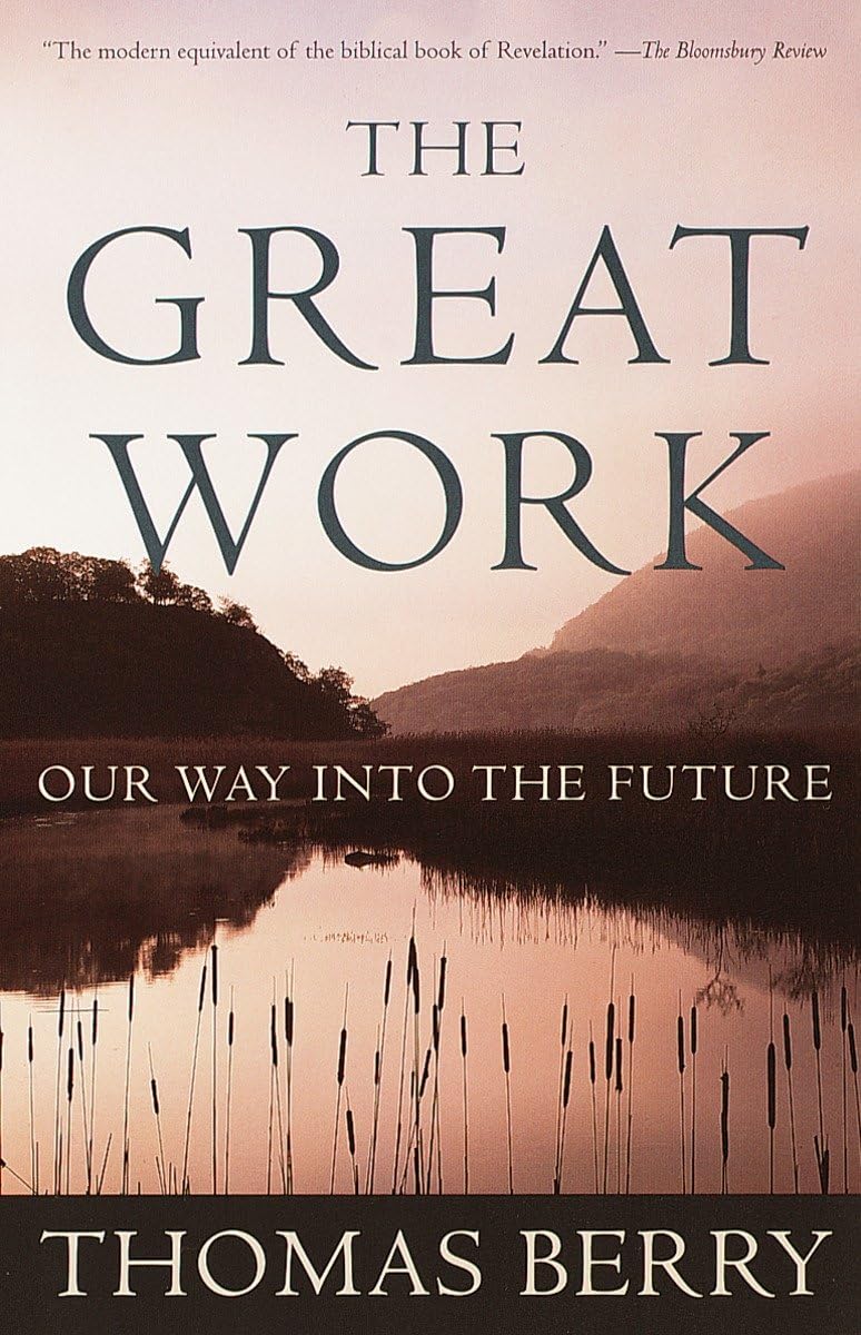The Great Work: Our Way into the Future,Used