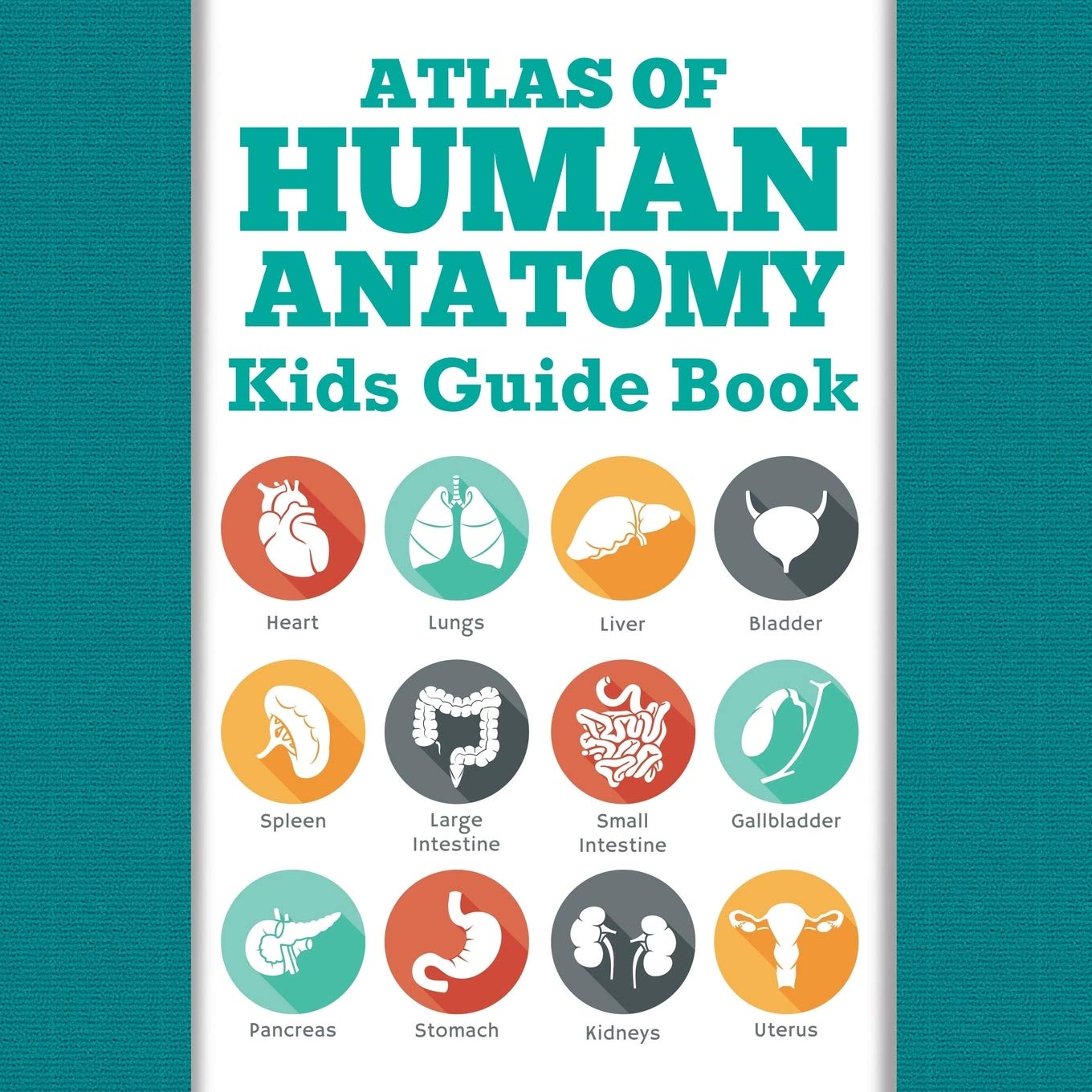 Atlas Of Human Anatomy: Kids Guide Book,Used