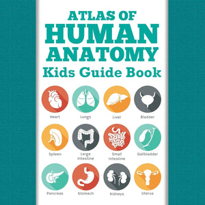 Atlas Of Human Anatomy: Kids Guide Book,Used