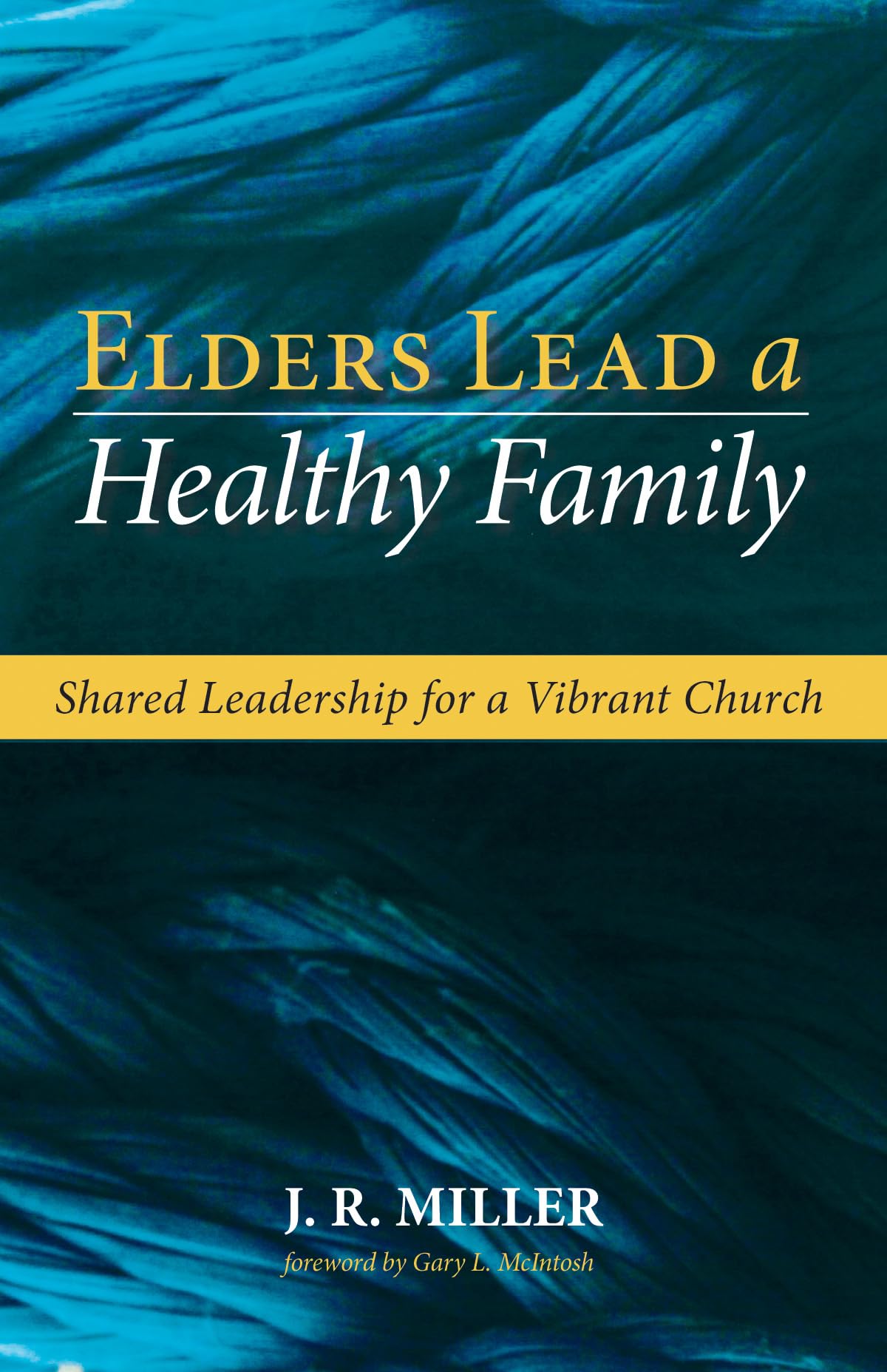 Elders Lead a Healthy Family: Shared Leadership for a Vibrant Church,Used