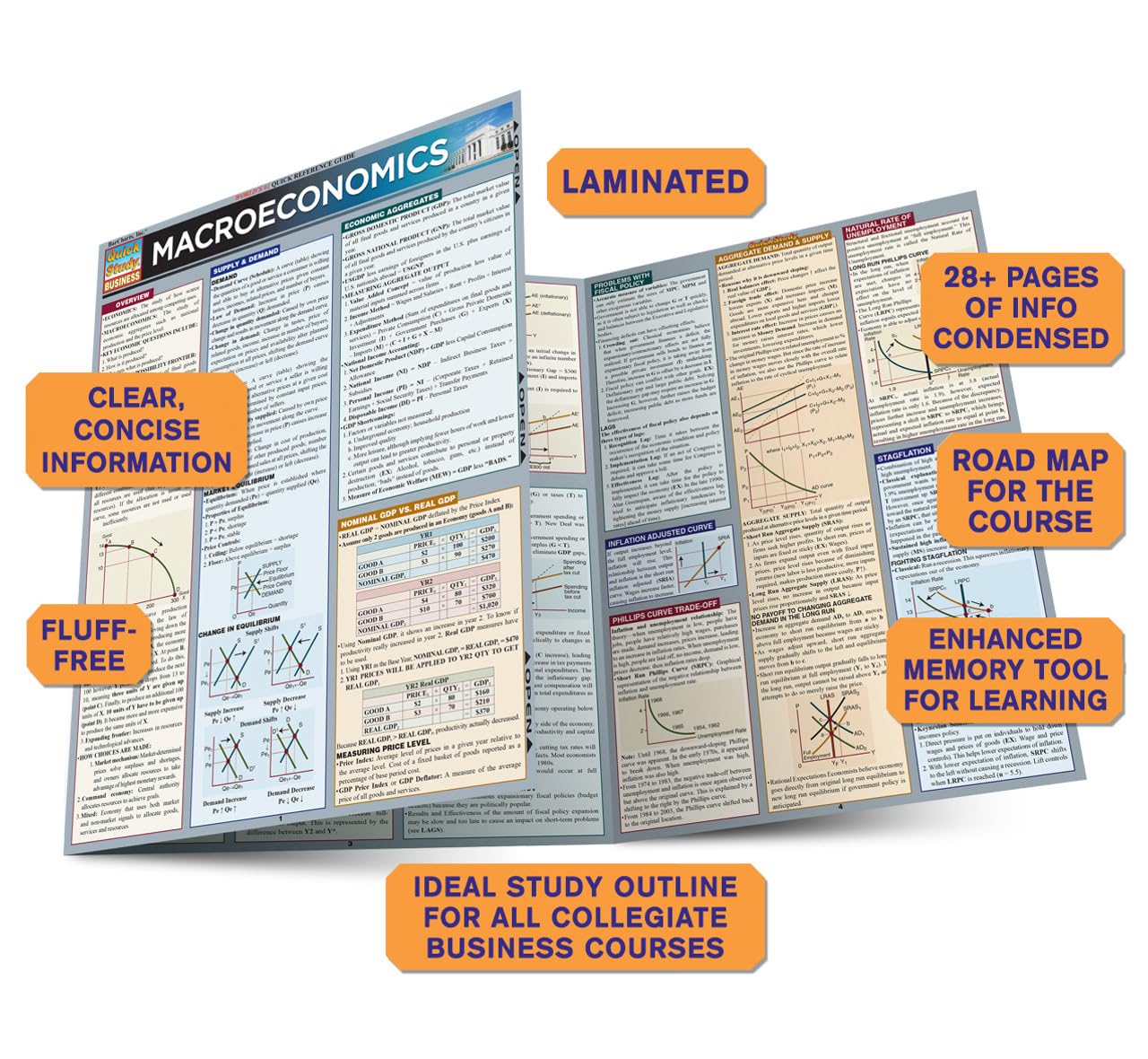 Macroeconomics Quickstudy Laminated Reference Guide (Quickstudy Business)