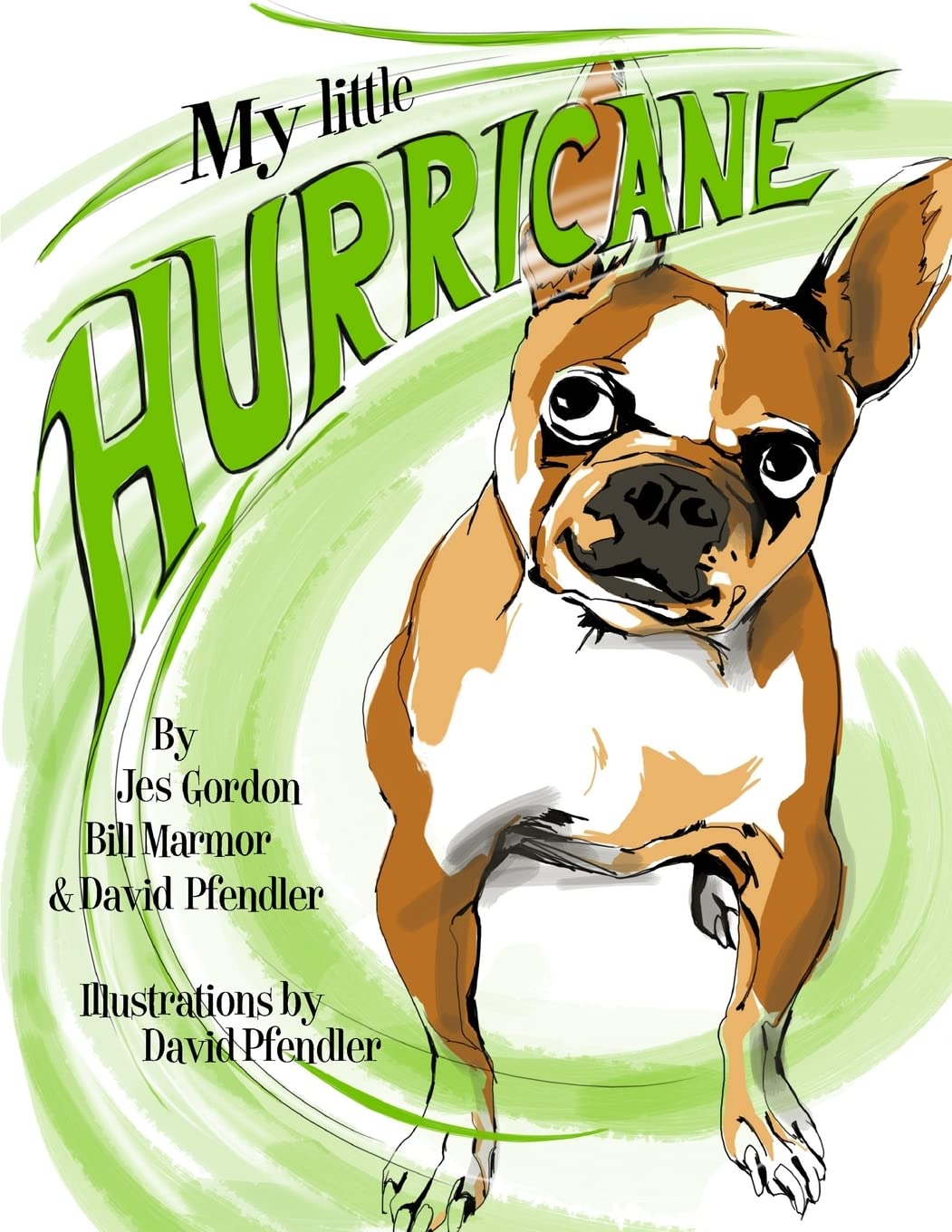 My Little Hurricane,Used
