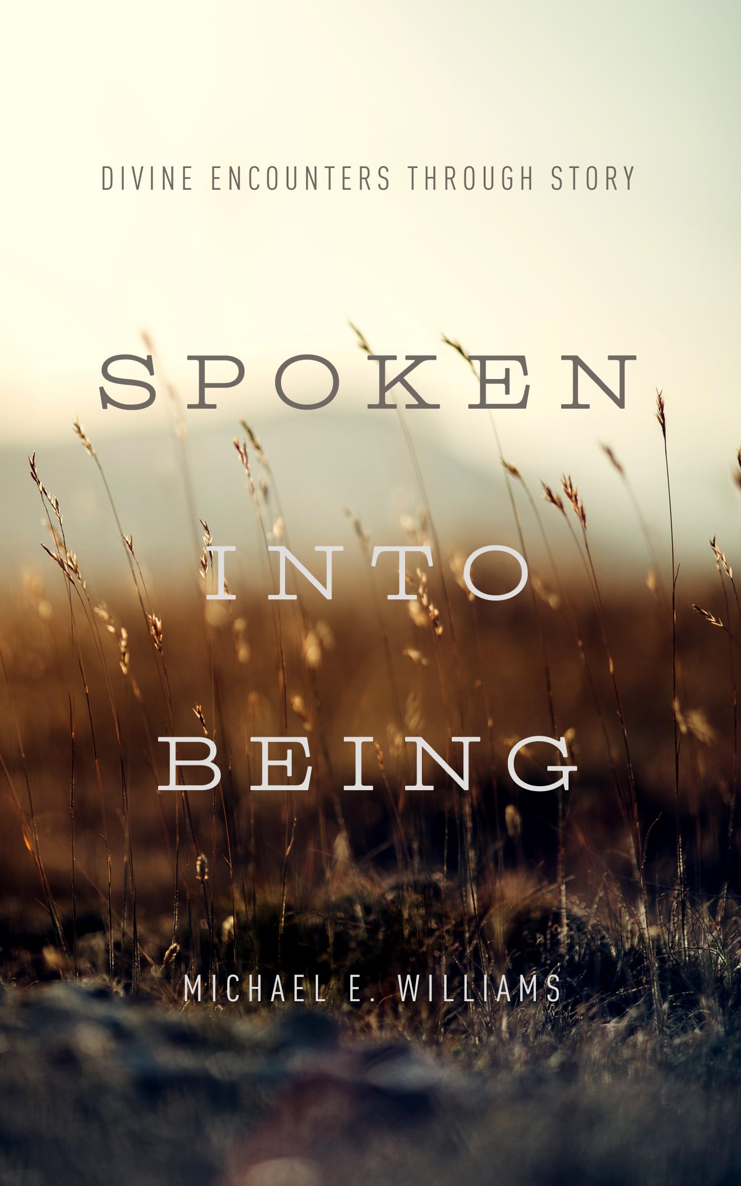 Spoken into Being: Divine Encounters Through Story,Used