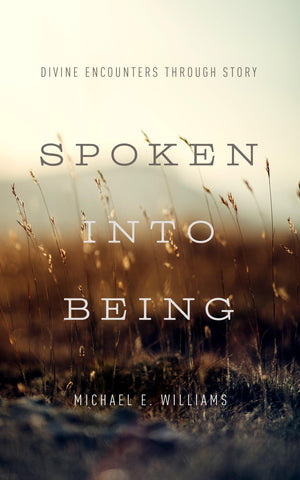 Spoken into Being: Divine Encounters Through Story,Used