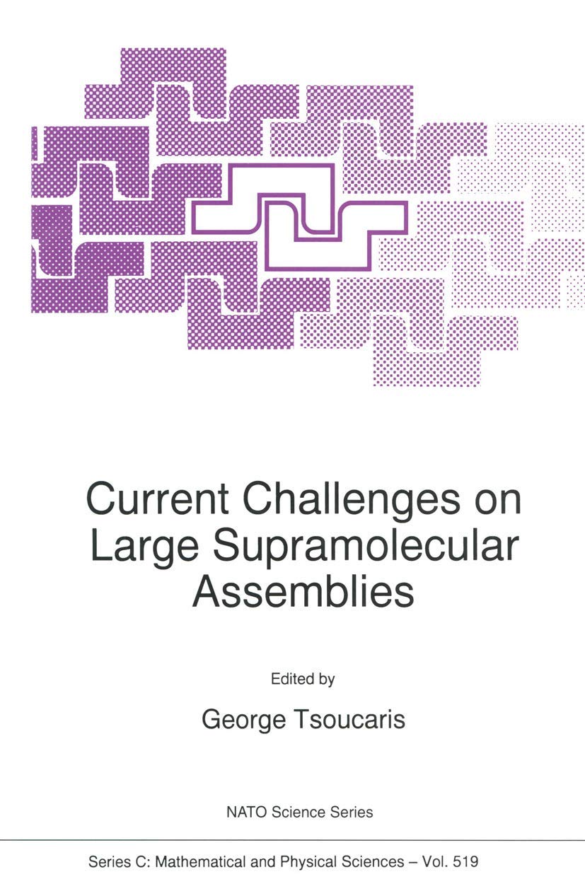 Current Challenges on Large Supramolecular Assemblies (Nato Science Series C:),Used