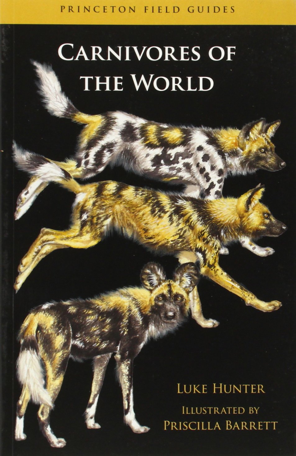 Carnivores of the World (Princeton Field Guides, 78),Used