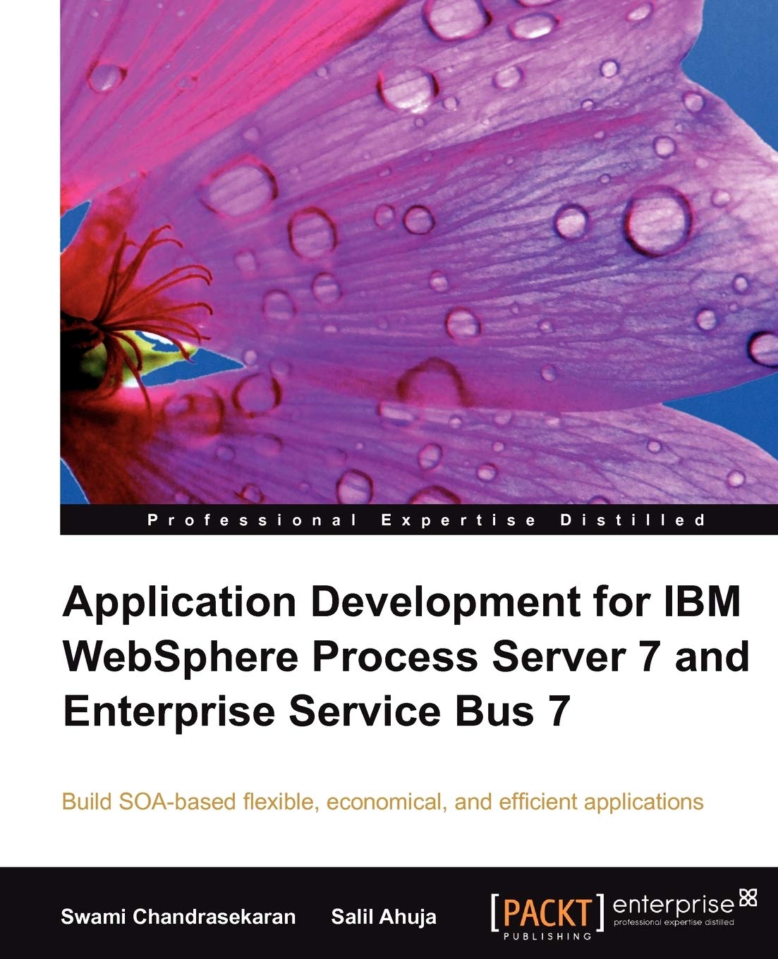 Application Development For Ibm Websphere Process Server 7 And Enterprise Service Bus 7: Build Soabased Flexible, Economical, A,Used