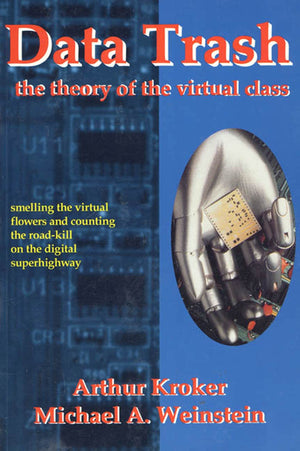Data Trash: The Theory Of Virtual Class (Culture Texts)