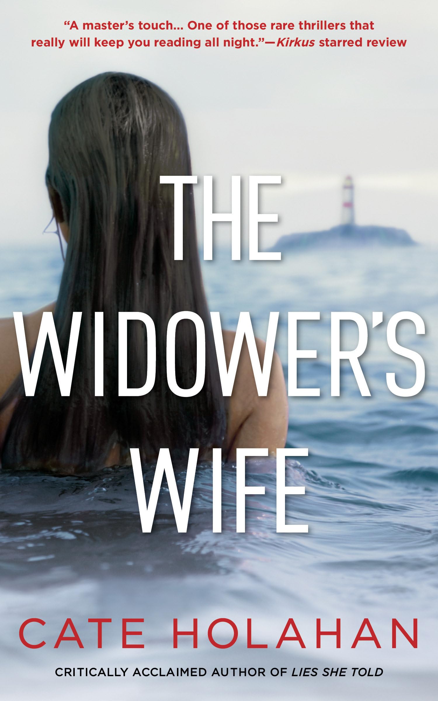 The Widower's Wife: A Novel,Used