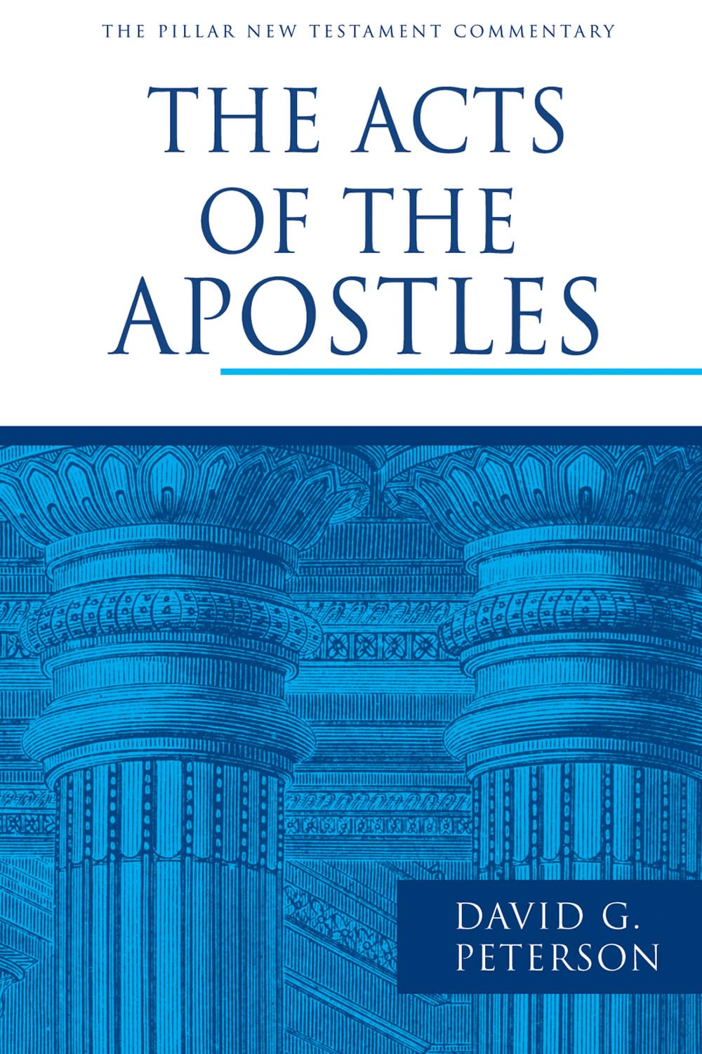The Acts of the Apostles (The Pillar New Testament Commentary (PNTC)),Used