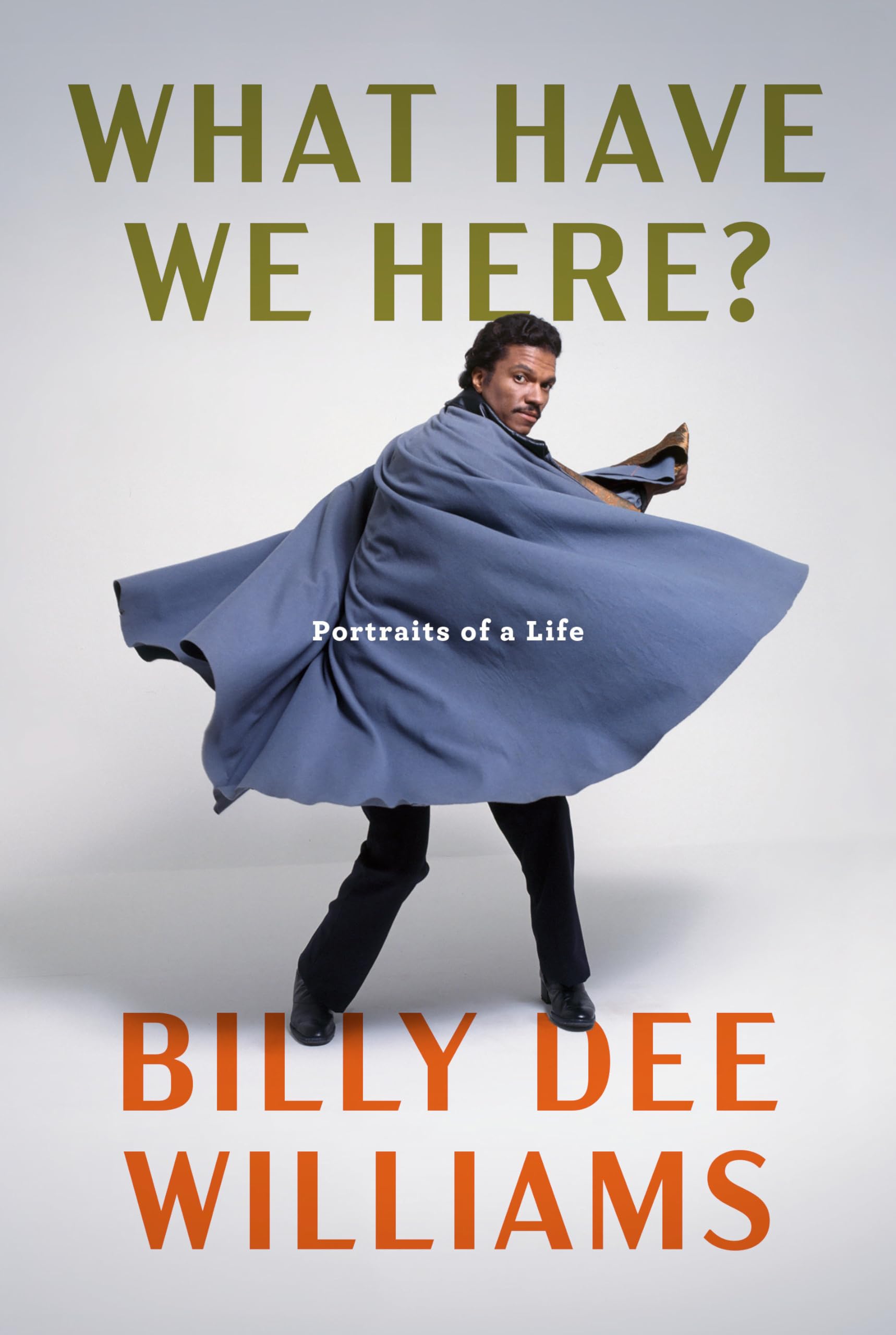 What Have We Here?: Portraits Of A Life,New