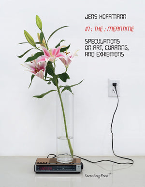 In the Meantime: Speculations on Art, Curating, and Exhibitions (Sternberg Press),Used