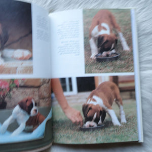 The Boxer,Used