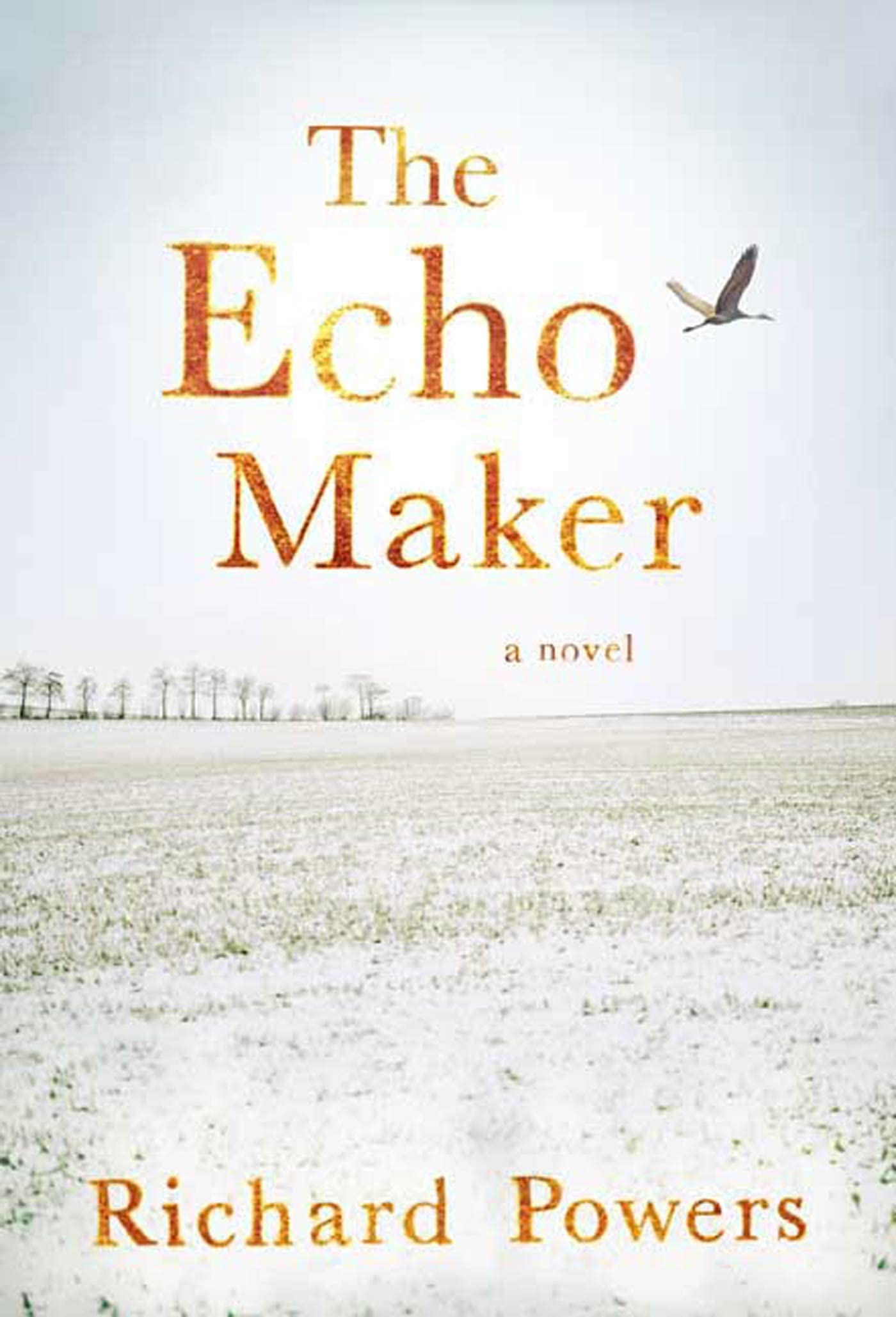 The Echo Maker: A Novel,Used
