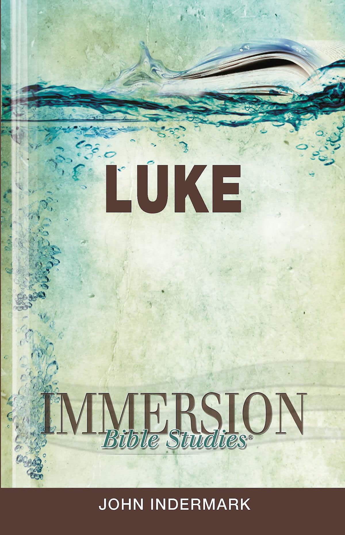 Immersion Bible Studies: Luke,New