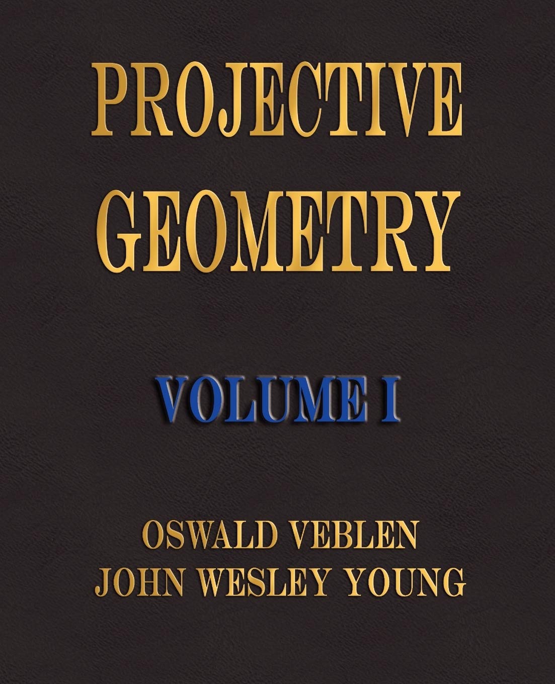 Projective Geometry  Volume I,Used