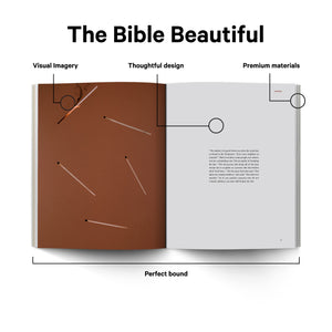 Book of James  Alabaster Bible,Used