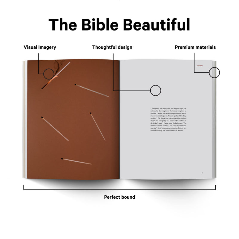 Book of James  Alabaster Bible,Used