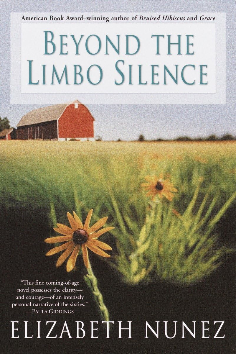 Beyond The Limbo Silence,Used